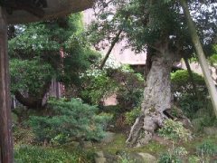 旧額田村の画像です。本画像をクリックすると詳細画像が別画面で開きます。 旧額田村