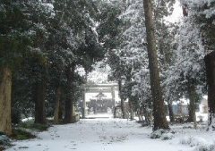 額田神社の画像です。 額田神社